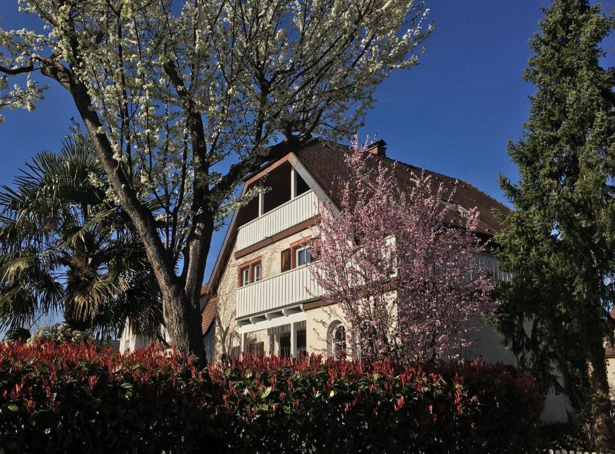 Ferienwohnung Dashaus Rheinfelden  Eksteriør billede