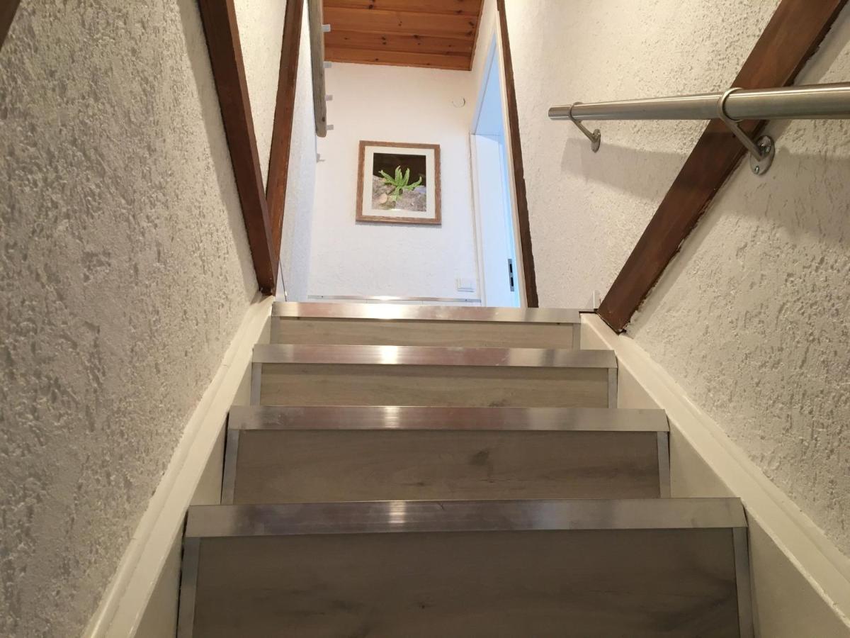Ferienwohnung Dashaus Rheinfelden  Eksteriør billede